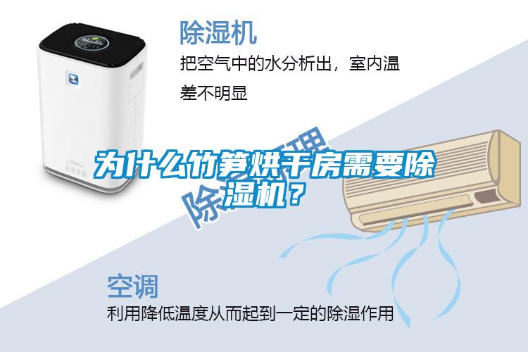 為什么竹筍烘干房需要除濕機(jī)？