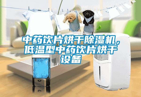 中藥飲片烘干除濕機，低溫型中藥飲片烘干設(shè)備