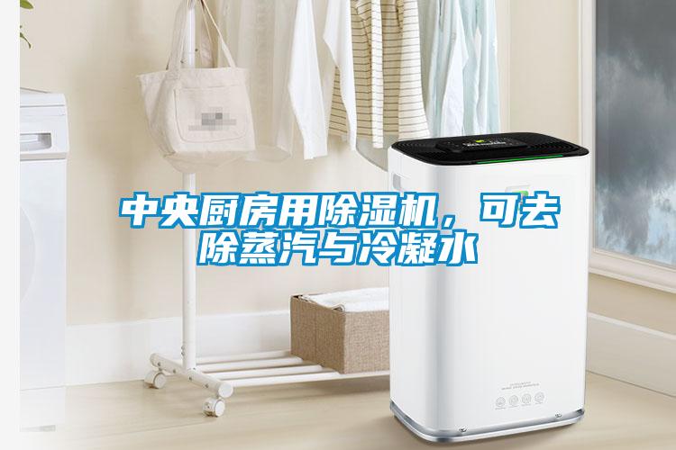 中央廚房用除濕機，可去除蒸汽與冷凝水