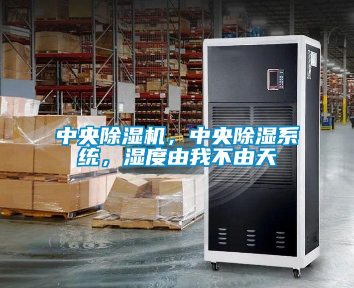 中央除濕機，中央除濕系統，濕度由我不由天