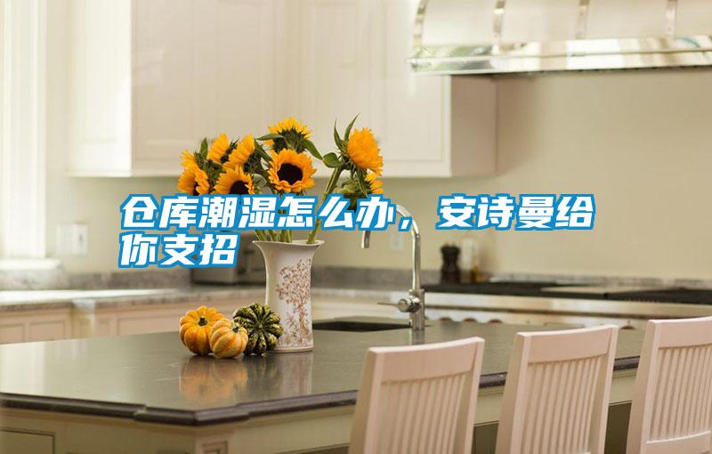 倉庫潮濕怎么辦，安詩曼給你支招