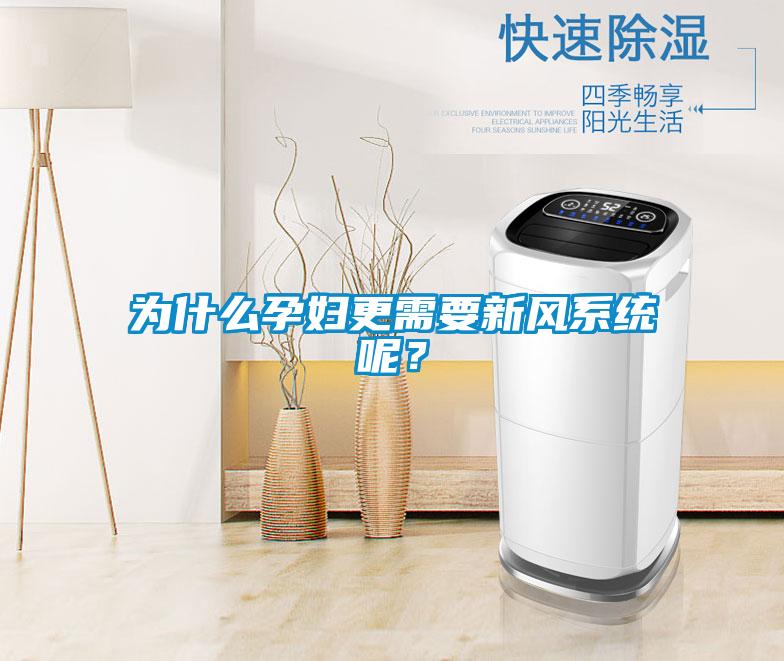 為什么孕婦更需要新風系統呢？