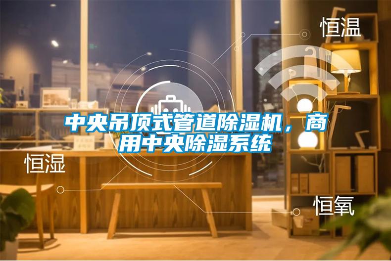 中央吊頂式管道除濕機，商用中央除濕系統