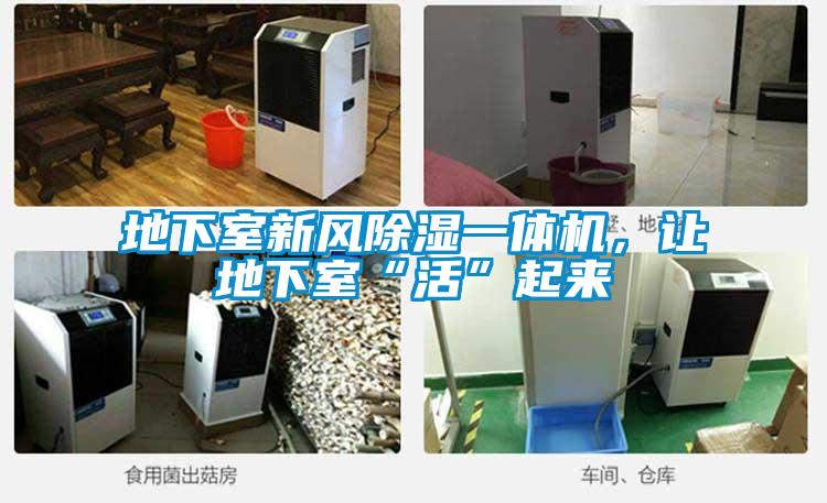 地下室新風(fēng)除濕一體機(jī)，讓地下室“活”起來