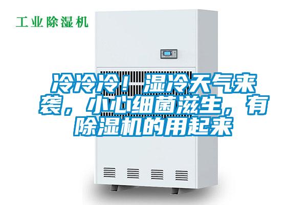 冷冷冷！濕冷天氣來襲，小心細菌滋生，有除濕機的用起來