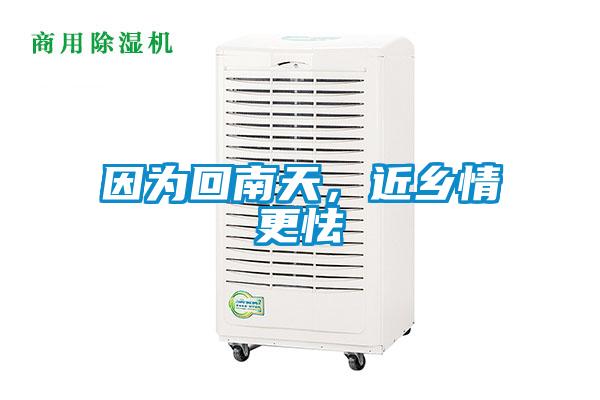 因為回南天，近鄉情更怯