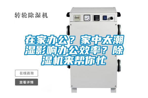 在家辦公？家中太潮濕影響辦公效率？除濕機來幫你忙