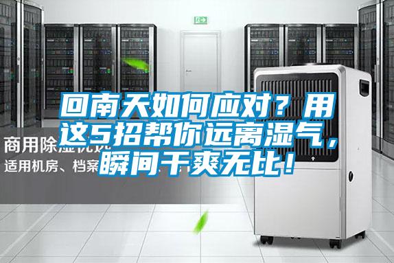 回南天如何應(yīng)對？用這5招幫你遠(yuǎn)離濕氣，瞬間干爽無比！