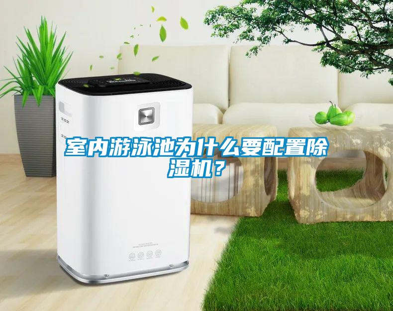 室內游泳池為什么要配置除濕機？