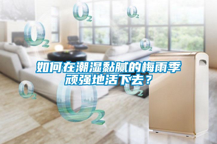 如何在潮濕黏膩的梅雨季頑強(qiáng)地活下去？