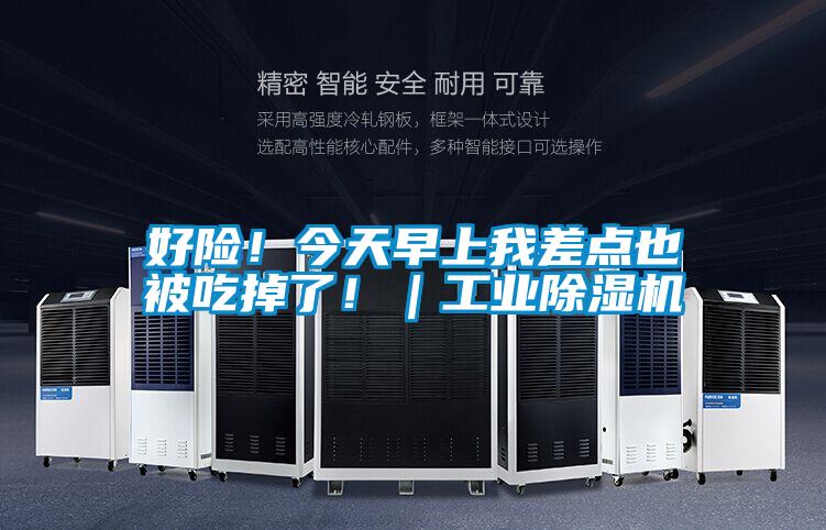 好險！今天早上我差點也被吃掉了！｜工業除濕機