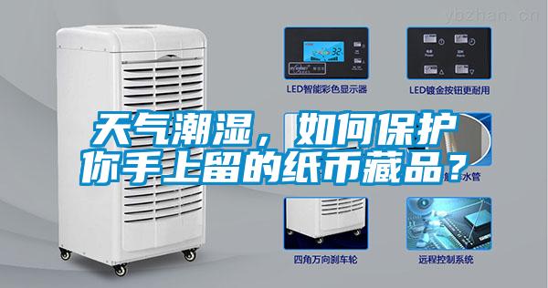 天氣潮濕，如何保護你手上留的紙幣藏品？
