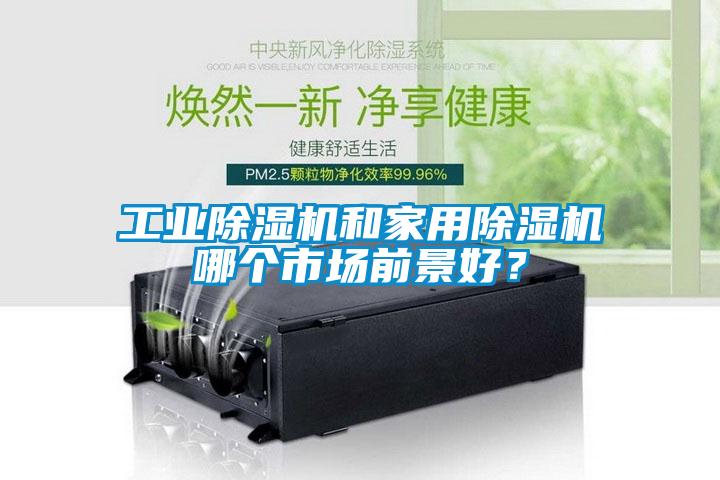 工業(yè)除濕機和家用除濕機哪個市場前景好？