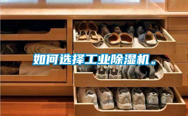 如何選擇工業除濕機。