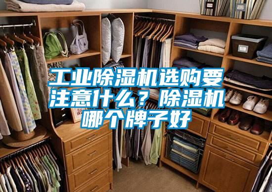 工業除濕機選購要注意什么？除濕機哪個牌子好