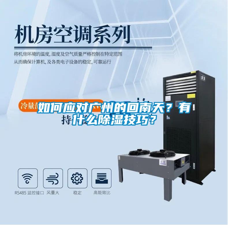 如何應對廣州的回南天？有什么除濕技巧？