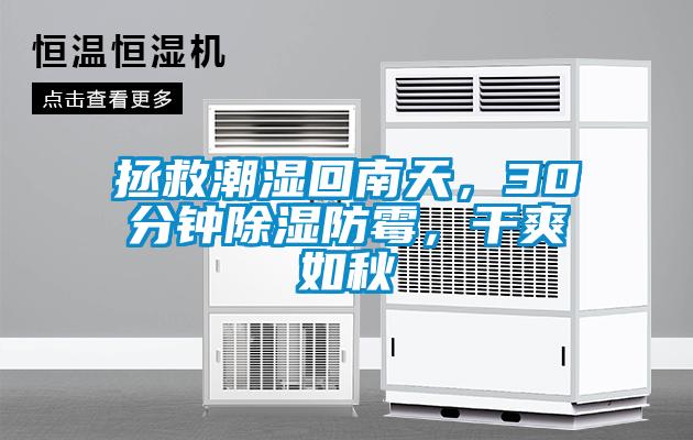 拯救潮濕回南天，30分鐘除濕防霉，干爽如秋