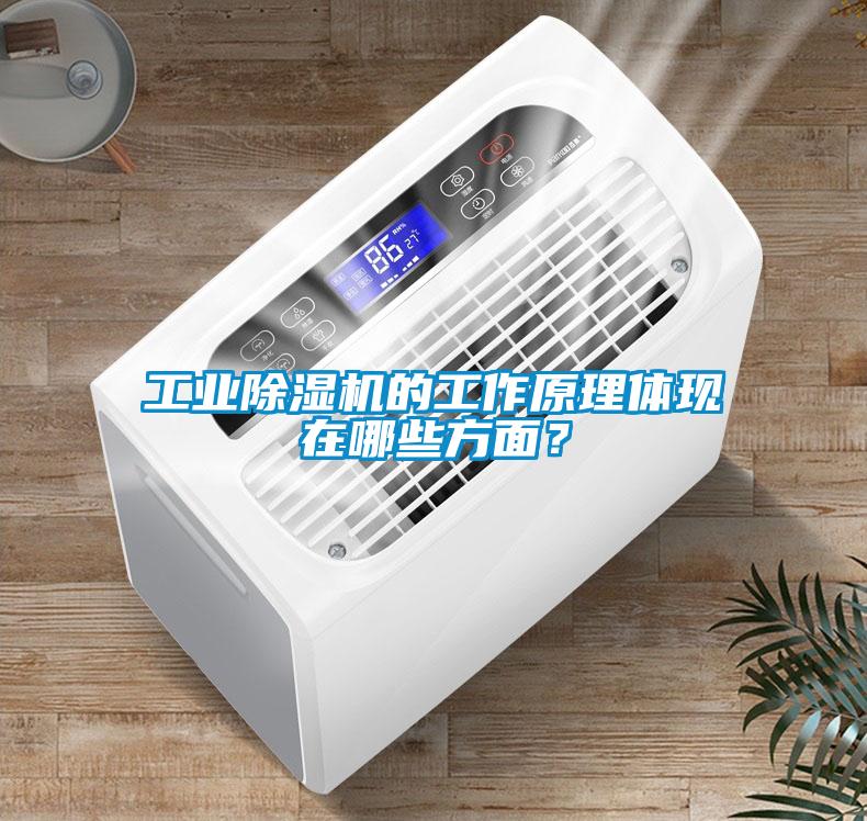 工業(yè)除濕機的工作原理體現(xiàn)在哪些方面？