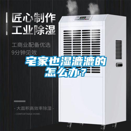 宅家也濕漉漉的怎么辦？