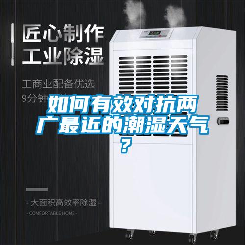 如何有效對抗兩廣最近的潮濕天氣？