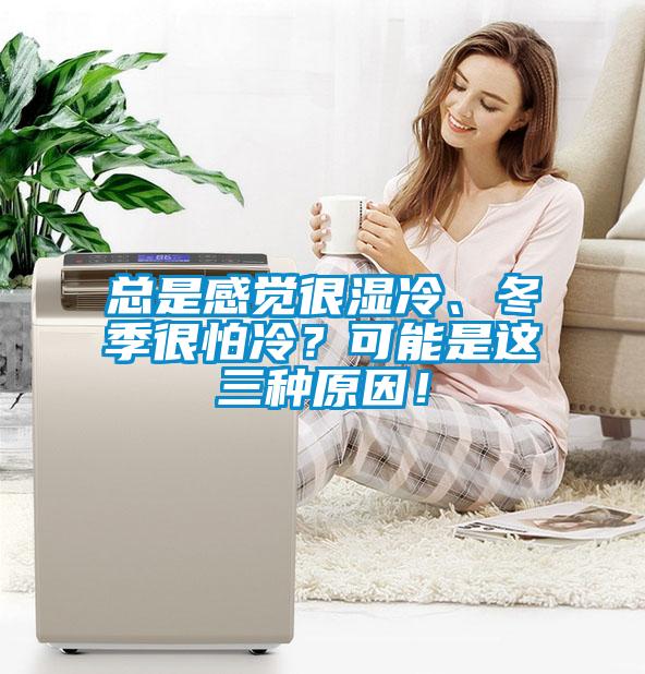 總是感覺很濕冷、冬季很怕冷？可能是這三種原因！