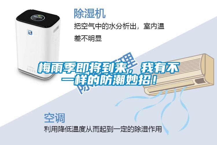 梅雨季即將到來(lái)，我有不一樣的防潮妙招！
