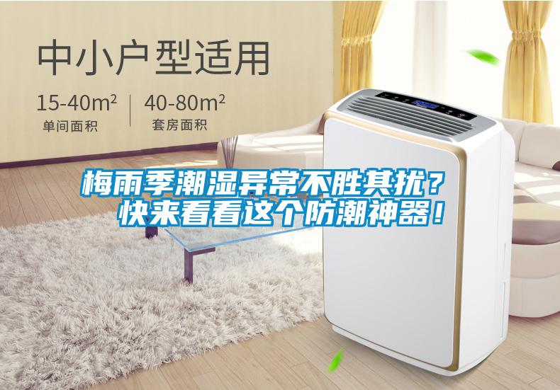 梅雨季潮濕異常不勝其擾？ 快來看看這個(gè)防潮神器！