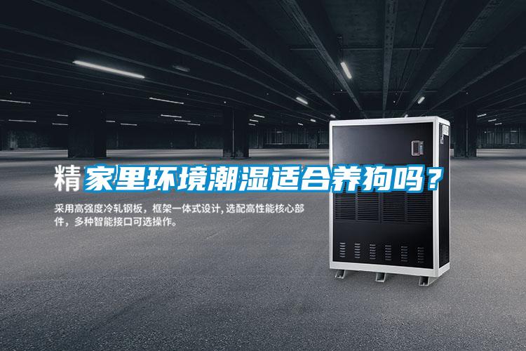 家里環境潮濕適合養狗嗎？