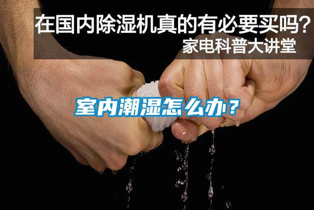 室內(nèi)潮濕怎么辦？