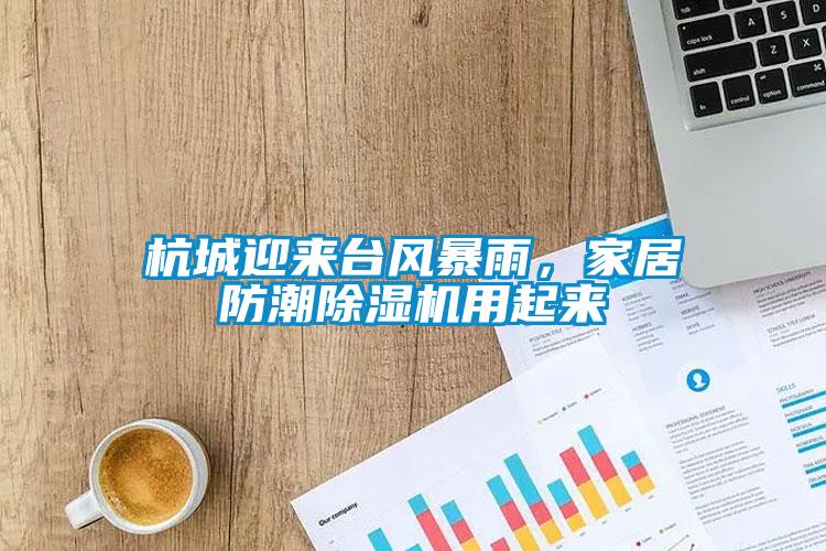 杭城迎來臺風暴雨，家居防潮除濕機用起來