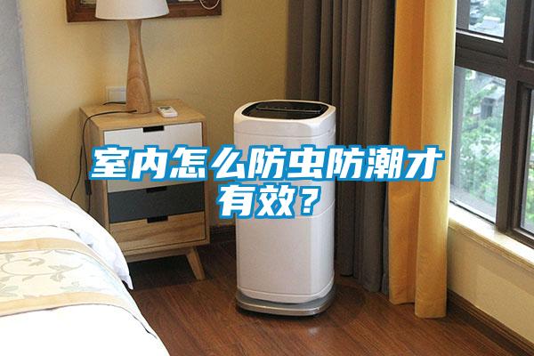 室內怎么防蟲防潮才有效？