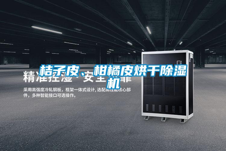 桔子皮、柑橘皮烘干除濕機(jī)