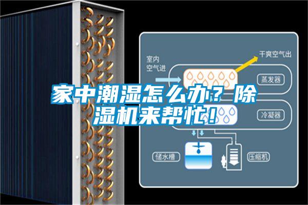 家中潮濕怎么辦？除濕機(jī)來幫忙！