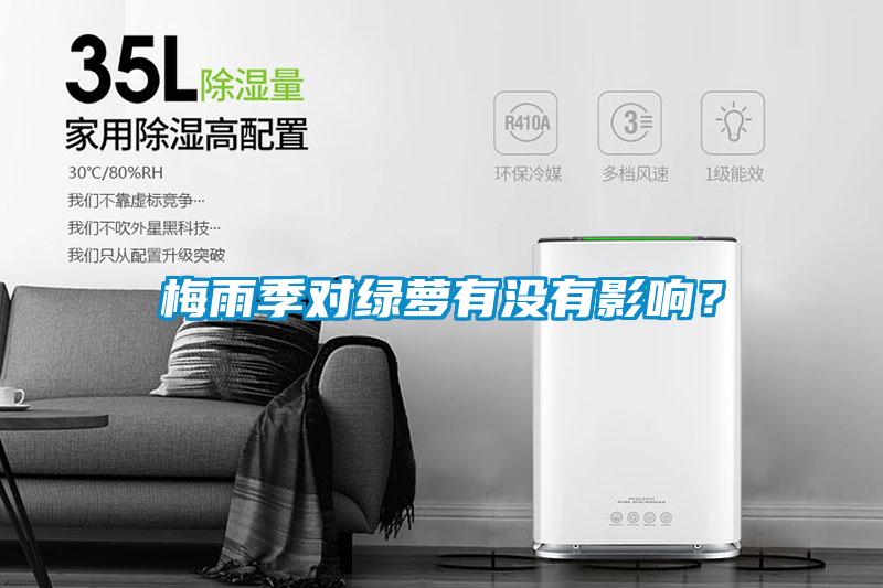 梅雨季對綠蘿有沒有影響？