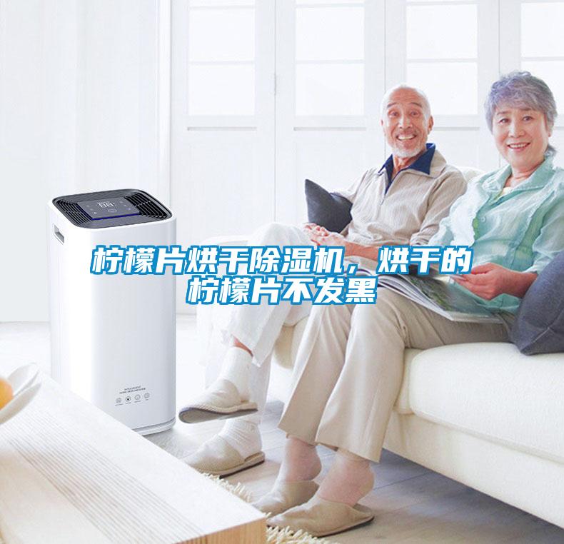 檸檬片烘干除濕機，烘干的檸檬片不發黑