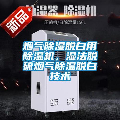 煙氣除濕脫白用除濕機，濕法脫硫煙氣除濕脫白技術(shù)