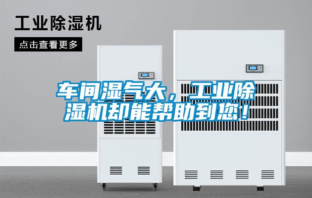 車(chē)間濕氣大，工業(yè)除濕機(jī)卻能幫助到您！