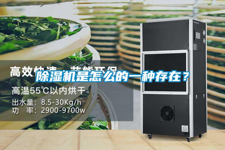 除濕機(jī)是怎么的一種存在？
