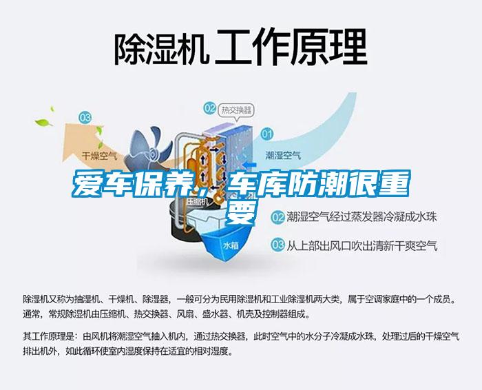 愛車保養，車庫防潮很重要