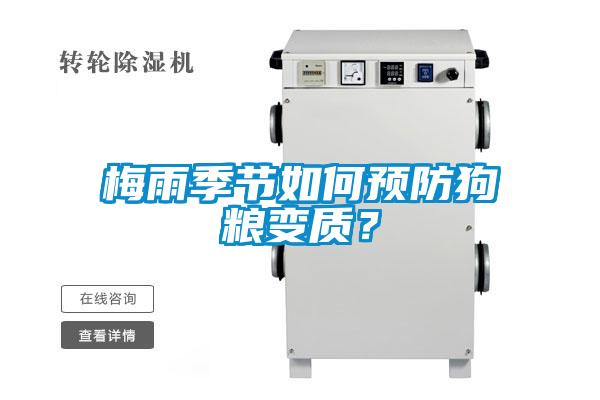 梅雨季節(jié)如何預防狗糧變質？