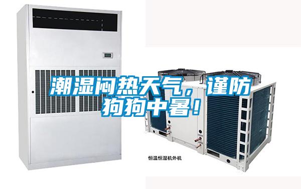 潮濕悶熱天氣，謹防狗狗中暑！