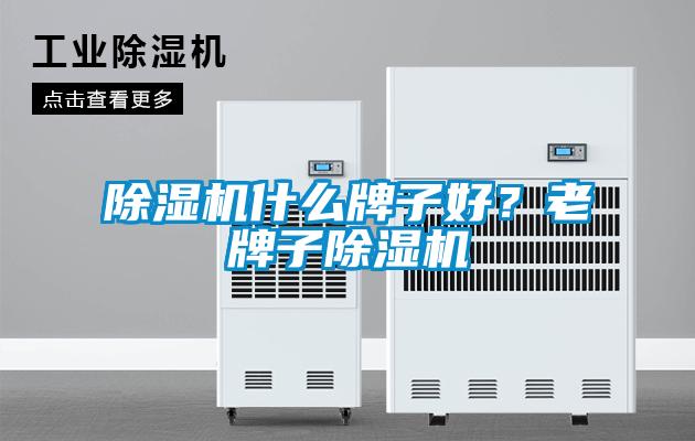 除濕機(jī)什么牌子好？老牌子除濕機(jī)