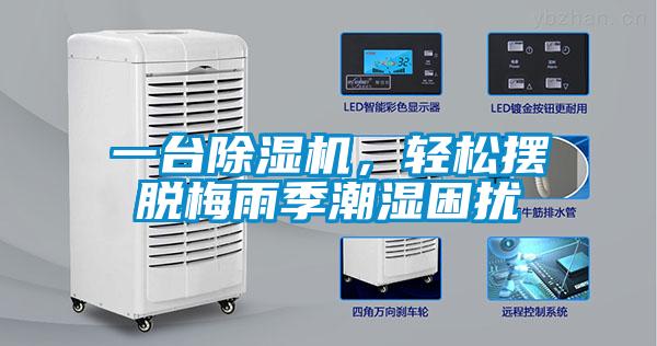 一臺除濕機，輕松擺脫梅雨季潮濕困擾