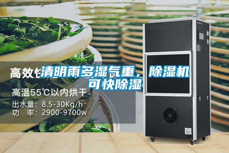 清明雨多濕氣重，除濕機可快除濕