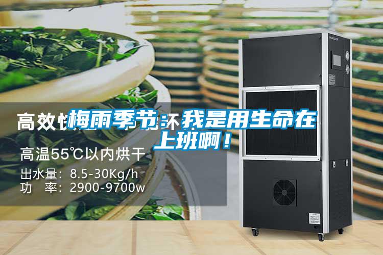 梅雨季節：我是用生命在上班??！