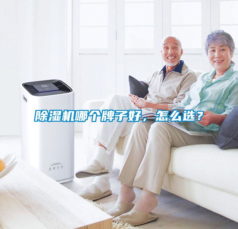 除濕機哪個牌子好，怎么選？