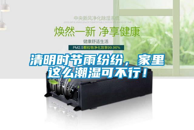 清明時節雨紛紛，家里這么潮濕可不行！