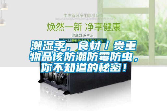 潮濕季，食材／貴重物品該防潮防霉防蟲，你不知道的秘密！