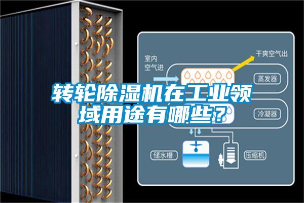 轉(zhuǎn)輪除濕機(jī)在工業(yè)領(lǐng)域用途有哪些？