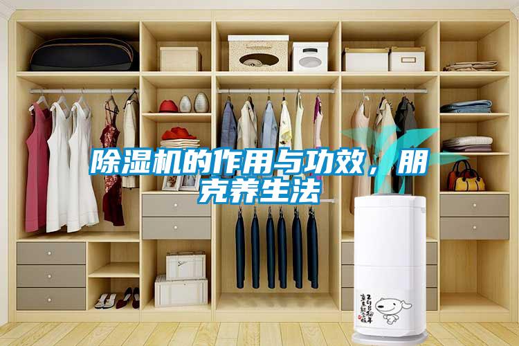 除濕機的作用與功效，朋克養生法